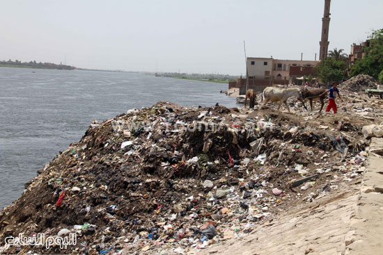 اليوم السابع -5 -2015